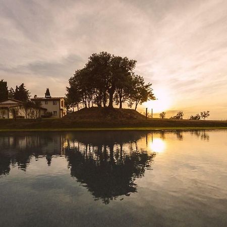 Borgo Le Colline Luxury Agriturismo In Tuscany ガンバッシ・テルメ エクステリア 写真